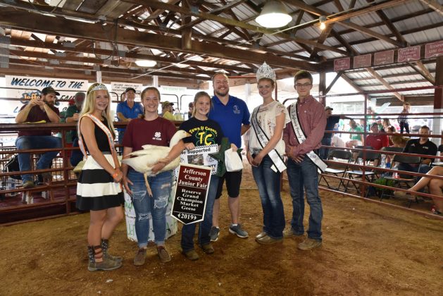 Jefferson County Fair Reserve Champion Geese