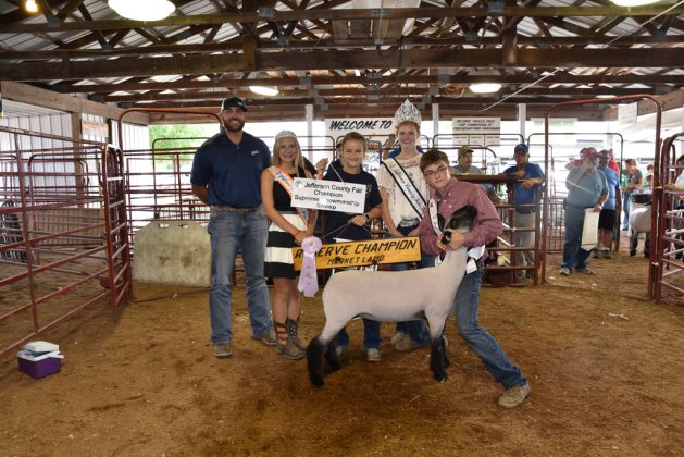 Jefferson County Fair Reserve Champion Lamb