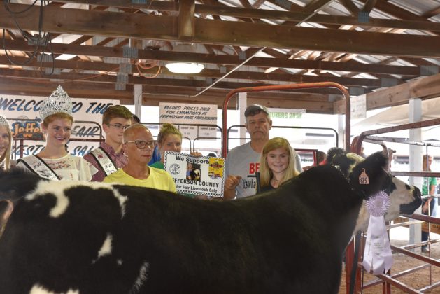 Jefferson County Fair Reserve Champion Steer
