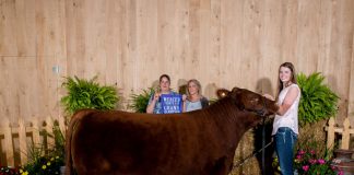 Mercer County Fair Grand Champion Steer