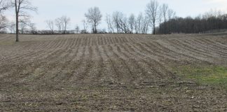 a wet crop field