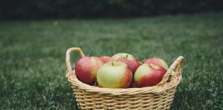 Basket of apples