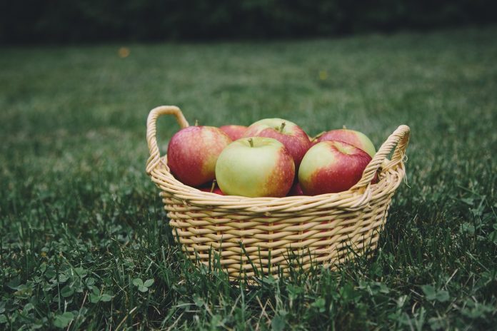 Basket of apples Basket of apples