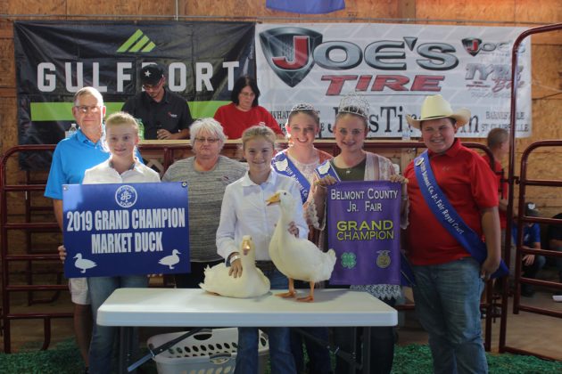 Belmont County Fair Grand Champion Ducks
