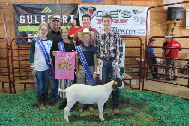 Belmont County Fair Reserve Champion Goat
