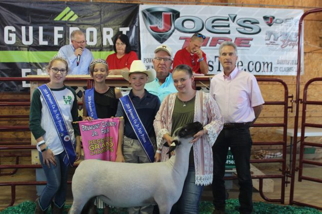 Belmont County Fair Reserve Champion Lamb