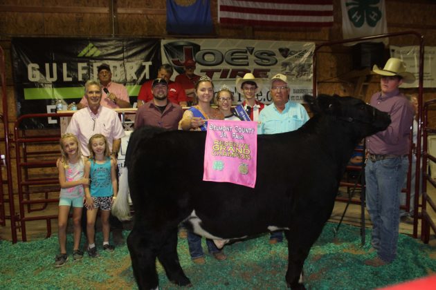 Belmont County Fair Reserve Champion Steer