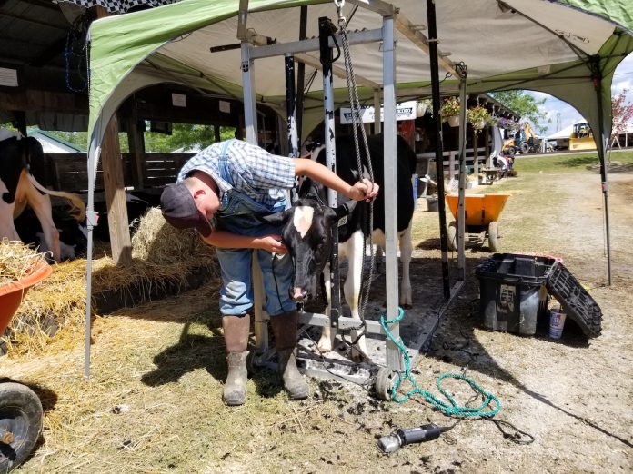 canfield-fair-3 boy haircut to calf