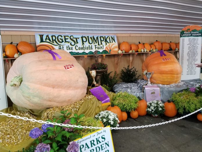 Canfield Fair Canfield Fair