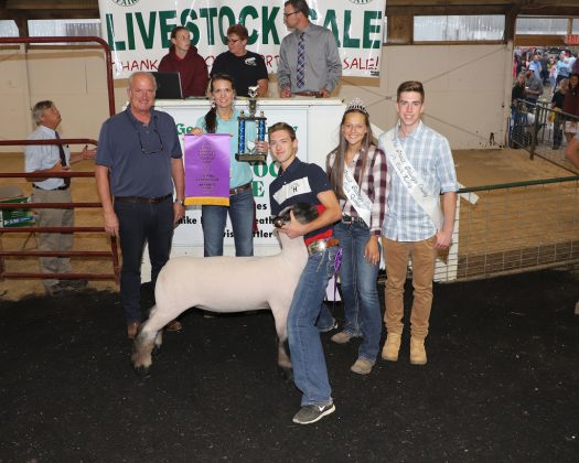 Geauga County Fair Grand Champion Lamb