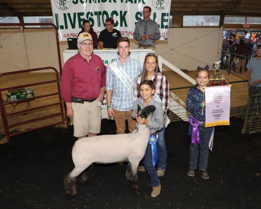 Geauga County Fair Reserve Champion Lamb