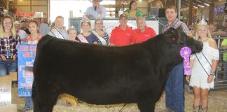 Noble County Fair Grand Champion Steer