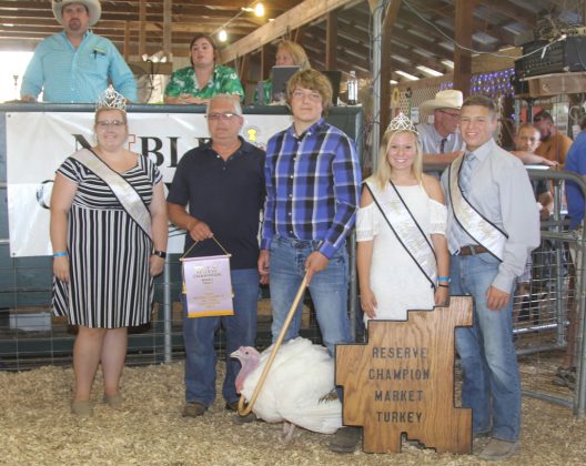 Noble County Fair Reserve Champion Turkey