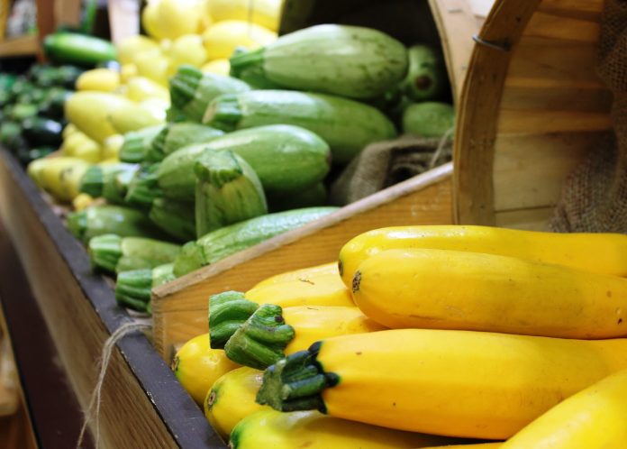 squash squash