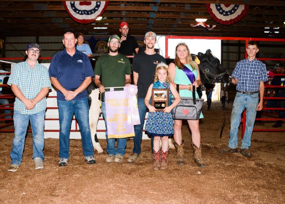 Stark County Fair Reserve Champion Cheese