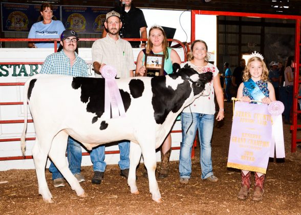 Stark County Fair Reserve Champion Dairy Beef Feeder