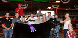Stark County Fair Grand Champion Steer