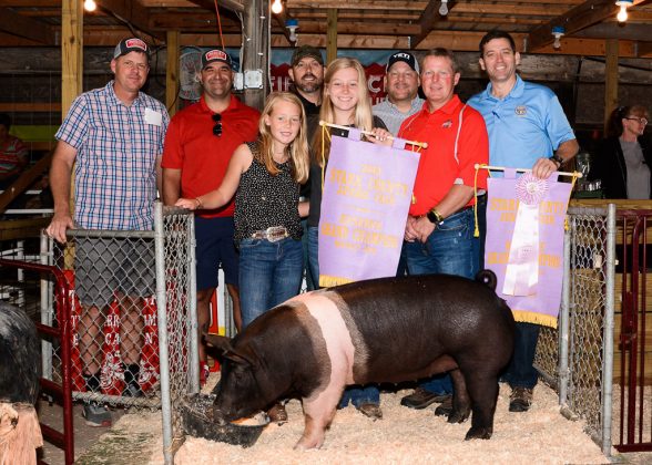 Stark County Fair Reserve Champion Hog