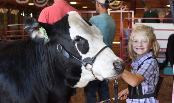 Sydney Miller, 9, stands next to the show ring with her beef steer, Tucker.