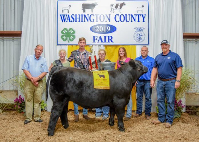 Washington County Fair Grand Champion Steer Washington County Fair Grand Champion Steer