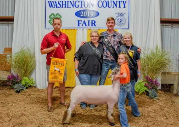Washington County Fair Reserve Champion Lamb