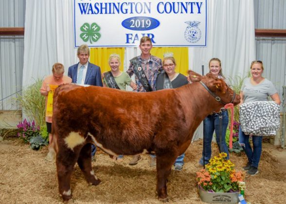 Washington County Fair Reserve Champion Steer