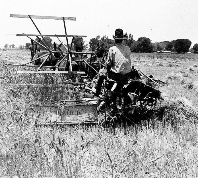 historical image of a reaper historical image of a reaper