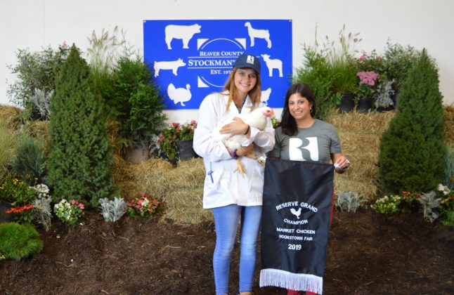 Chicken Reserve Champion