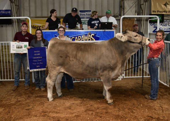 Grand Champion Dairy Steer