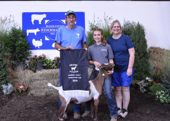 Goat Champion