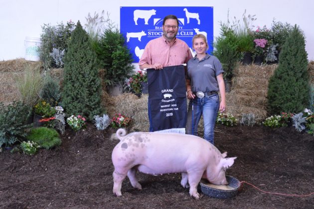 Hog Champion