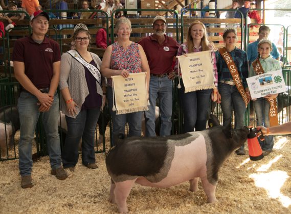 Reserve Champion Hog