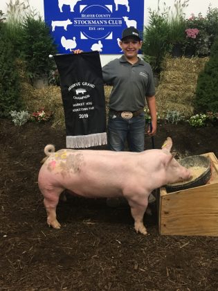 Reserve Champion Hog