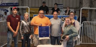 Grand Champion Lamb