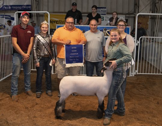 Grand Champion Lamb
