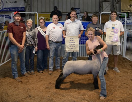 Reserve Champion Lamb