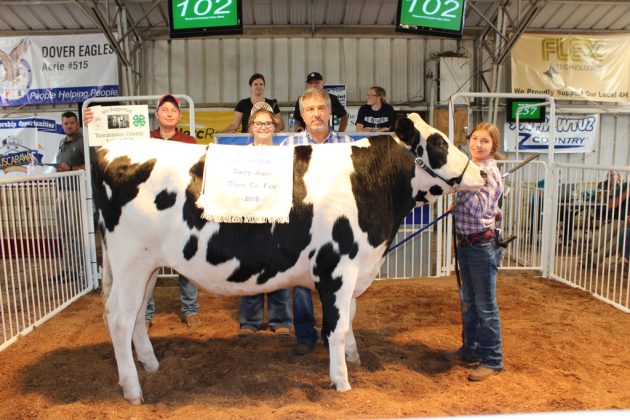 Reserve Champion Dairy Steer