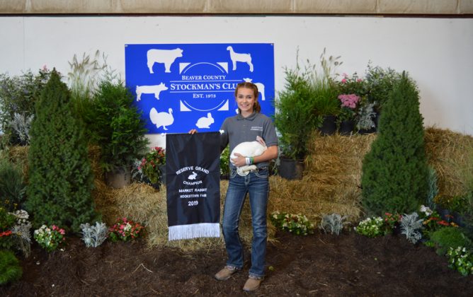 Rabbit Reserve Champion