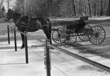 Moving from horses to motorized vehicles