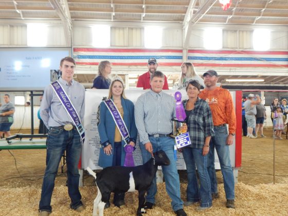 Grand Champion Dairy Market Goat