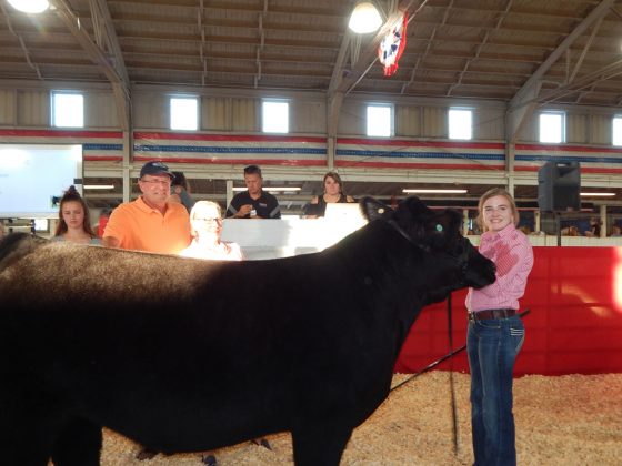 Grand Champion Steer