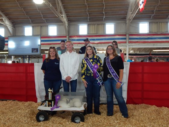 Grand Champion Rabbit Pen