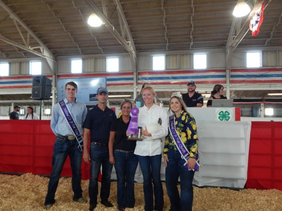 Grand Champion Fryer Rabbit