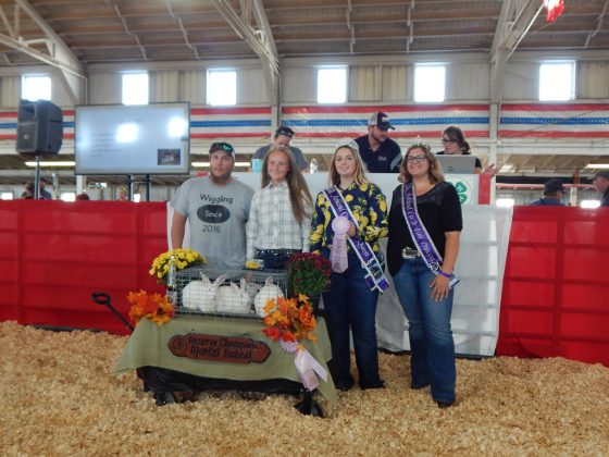 Reserve Champion Rabbit Pen
