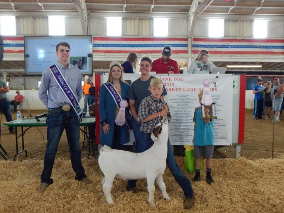 Reserve Champion Meat Market Goat