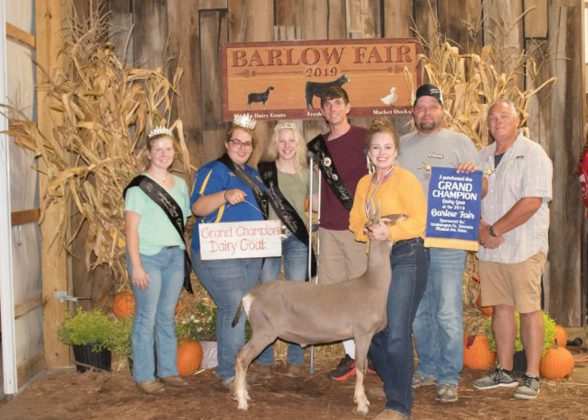 Grand Champion Goat