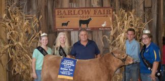 Grand Champion Steer