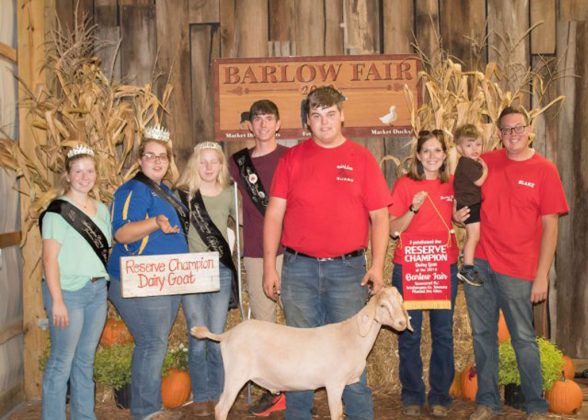 Reserve Champion Goat