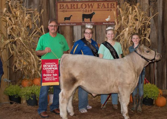 Reserve Champion Steer
