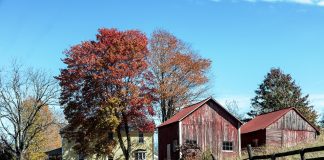 West Virginia farm